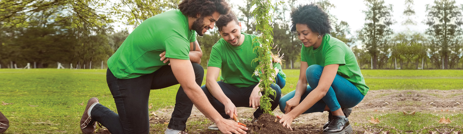 People planing a tree